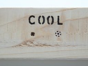 Pyrografi (træbrænde) pen - 30W