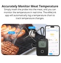 Smart BBQ-grilltermometer m. app. inkl. 2 prober