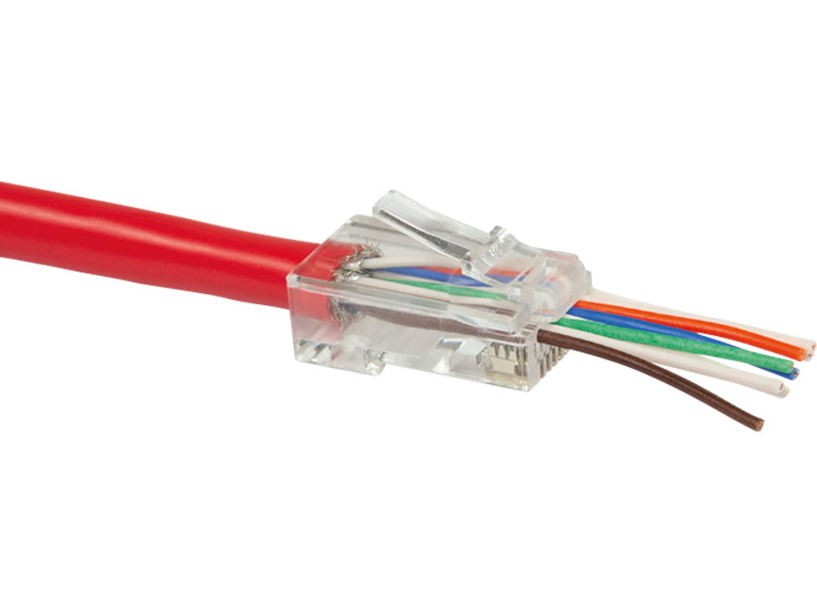 RJ45 modularstik, CAT6 UTP, Pass Through (10 stk.)