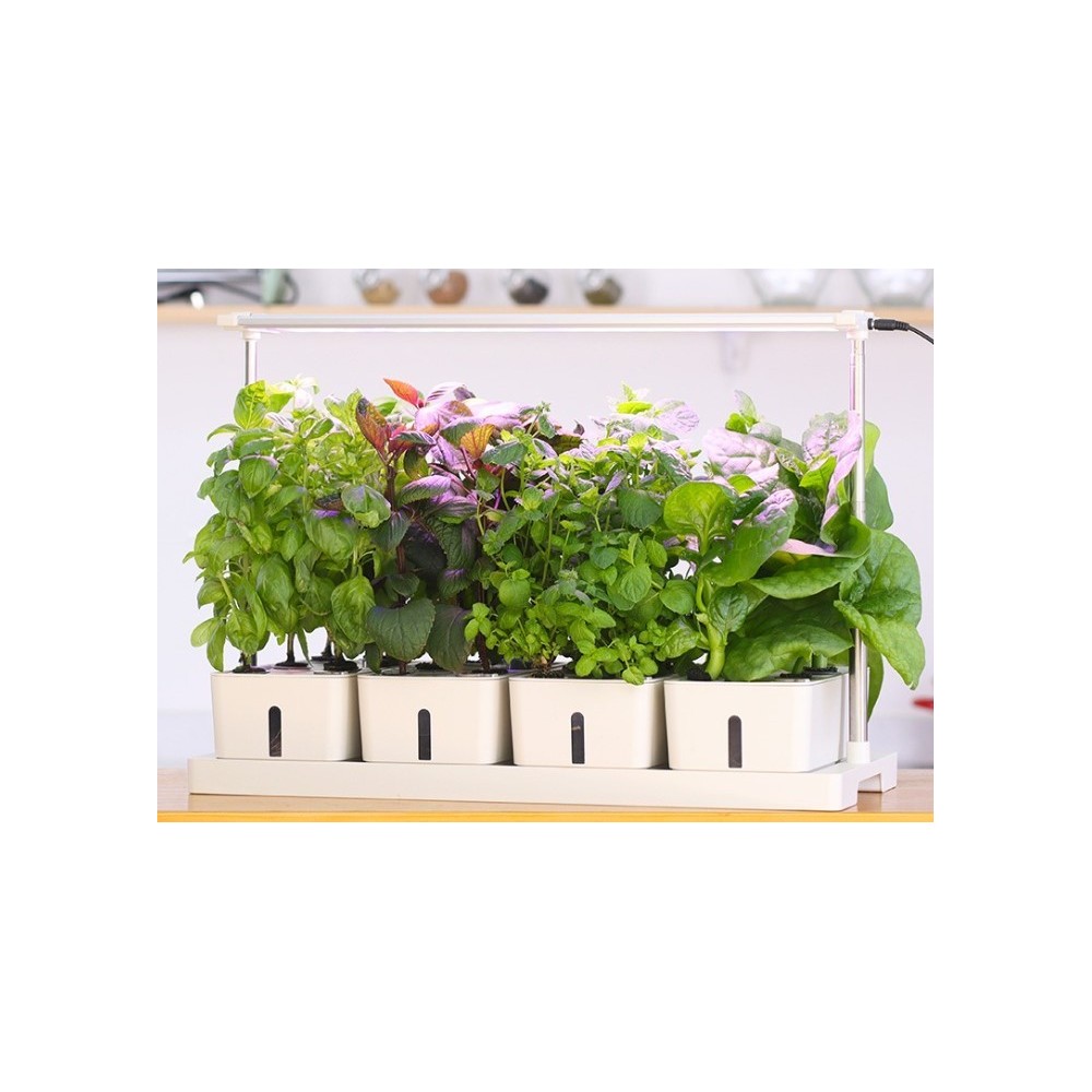 LEDlife Hydroponisk Plantebakke - Hvid, Inkl. Vækstlys, 20 Pladser, 4x2L Vandtank, 34W Effekt