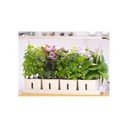 LEDlife Hydroponisk Plantebakke - Hvid, Inkl. Vækstlys, 20 Pladser, 4x2L Vandtank, 34W Effekt