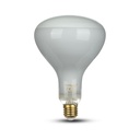 R125 LED Glødetråd Pære 8W E27 Dæmpbar 6500K 600lm RA80 - Sortiment til moderne belysning inderum - køb online nu!