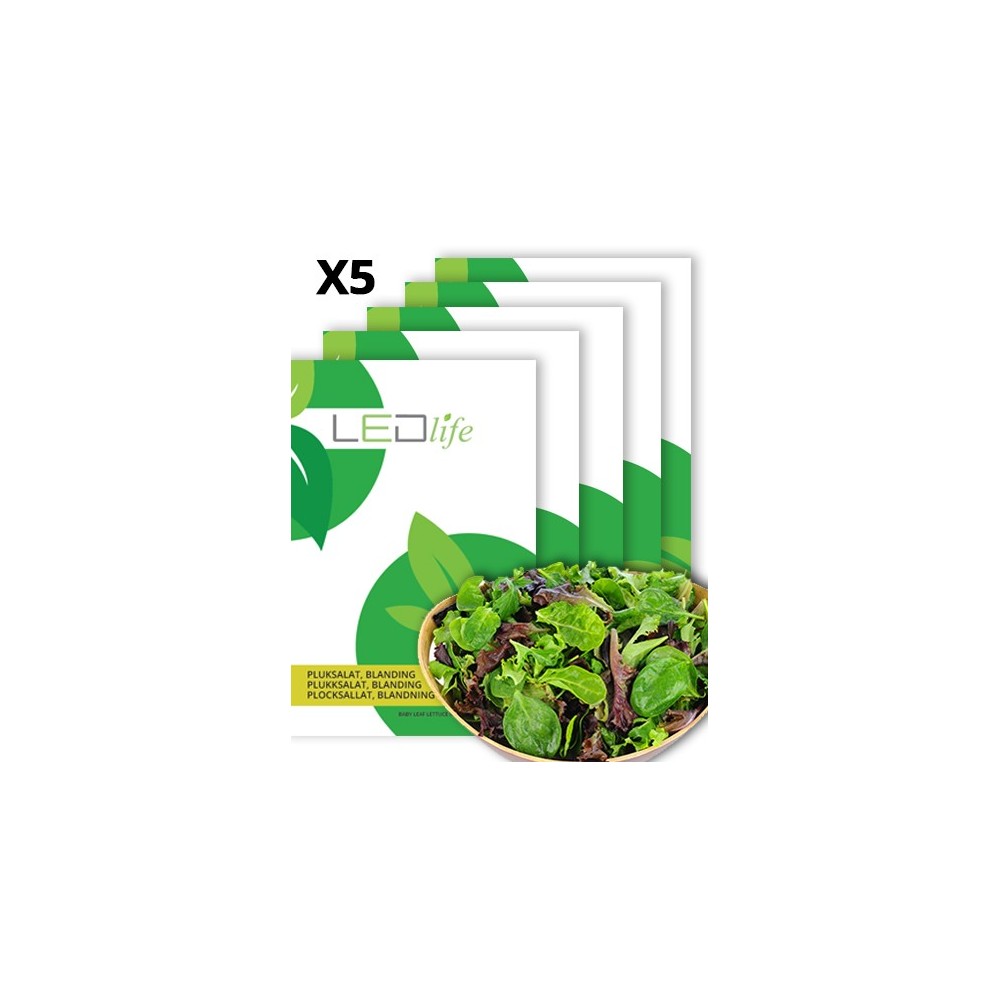 Blandede frø til pluksalat - Baby Leaf mix