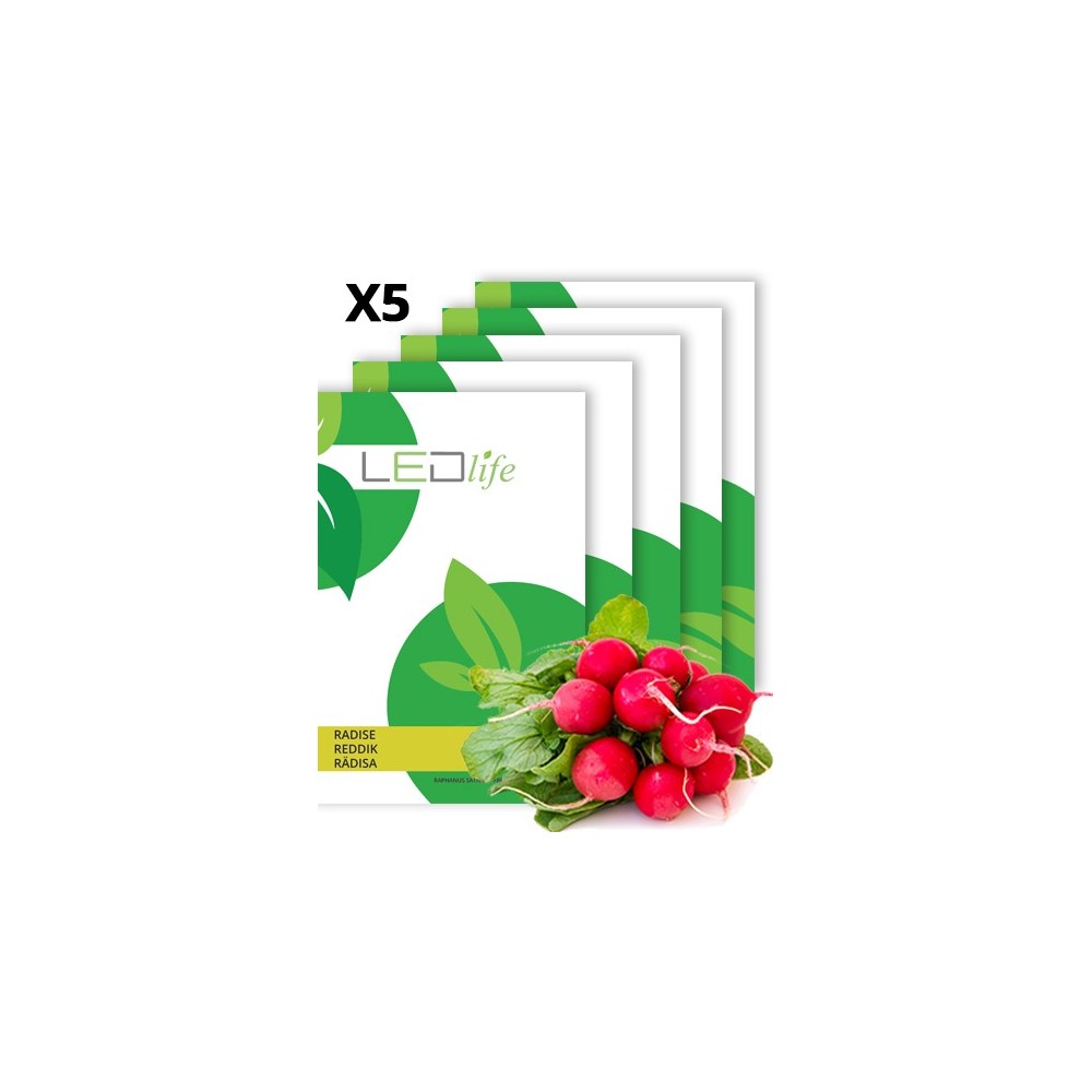 Fransk Morgenmad Radisefrø - Raphanus sativus