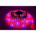 8,5W/m Stænktæt Vækst LED Strip - 5m, 60 LED/m, 24V DC, IP65