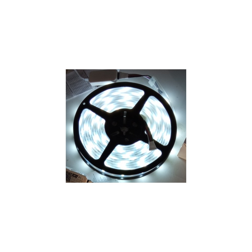 12W/m RGB+CW LED-strips - 5 meter, IP65, 60 LED pr. meter, 24V