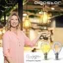 LED Filamentpære G45 E27 4W 2700K Klar - Erstatter 40W, 470lm, RA80, 3 års garanti.