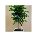 Multifunktionel måler til pH, fugt, temperatur og lys - Alt-i-en enhed til præcis måling og overvågning af vækstbetingelser.