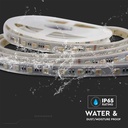 60 LED Stribe Lys 24W/m - CCT 3in1+RGB, IP65, 24V