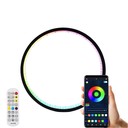 Slim Cirkel RGBIC lampe med Bluetooth og USB - Ø20cm, 10W (5V)