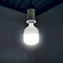 T100 LED Pære 30W E27 Plastik, 6500K - Kraftig lysstyrke på 3210lm og høj farvegengivelse med RA80