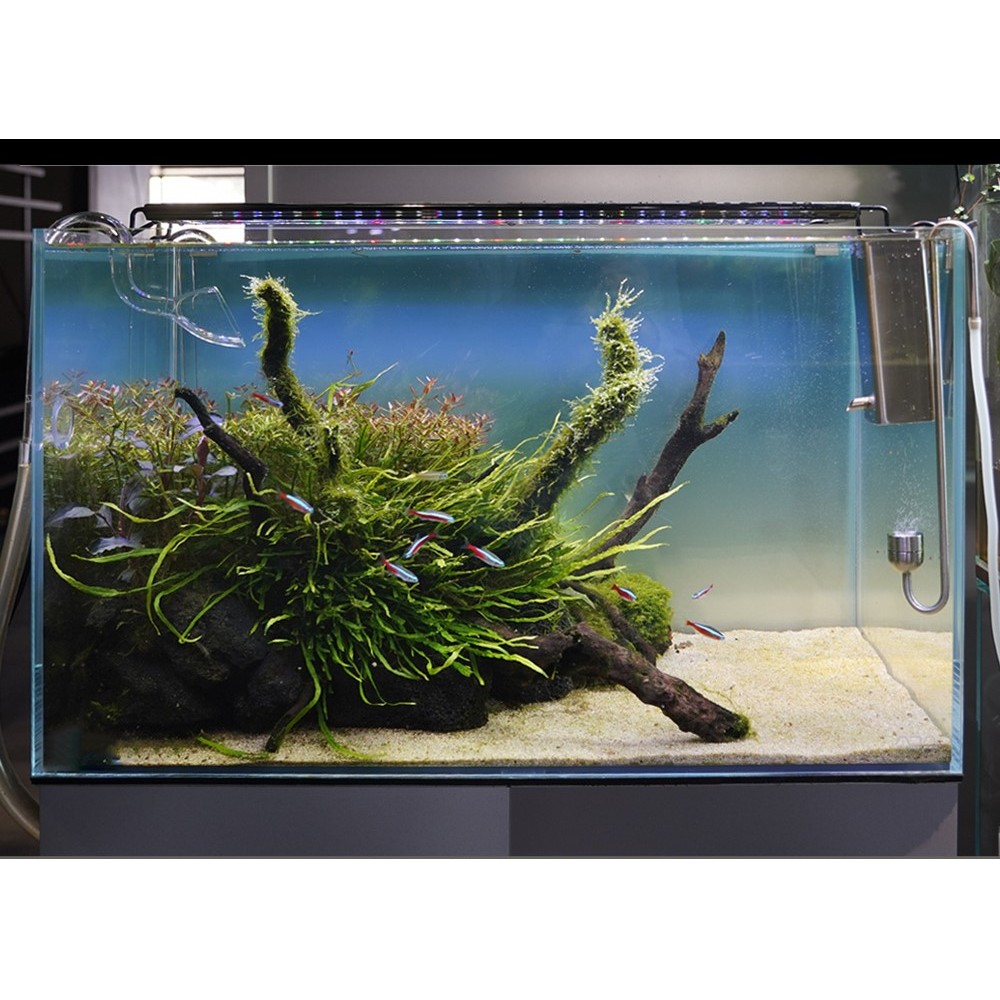 Akvariearmatur med 16W LED i hvid/blå/rød/grøn, justerbar længde, IP66 - 60-75 cm