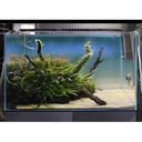 Akvarie armatur - 19W LED, hvid/blå/rød/grøn, justerbar længde, IP66, 75-100 cm