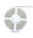 4.8W LED STRIP 6000K kold hvid IP65