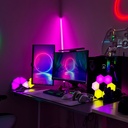 RGBIC Trekant Væglys 6 stk. sæt med 6W effekt og 5V input. Moderne belysning til enhver indretning.