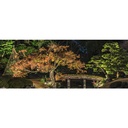 Havespyd 5W med pære sort