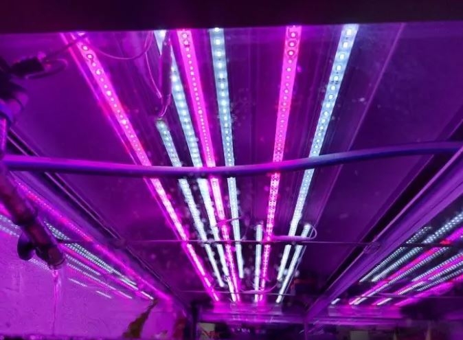 1 meter vandtæt aluprofil til vækst - 24V, 19,5W LED, 3:1 rød/blå fordeling, IP65, med stik