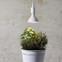 LED Vækstpære Plantelys (Planten Vokser) 16W 1200 lumen, E27, 90°