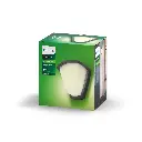 Kiskadee wall lantern anthracite 1x42W