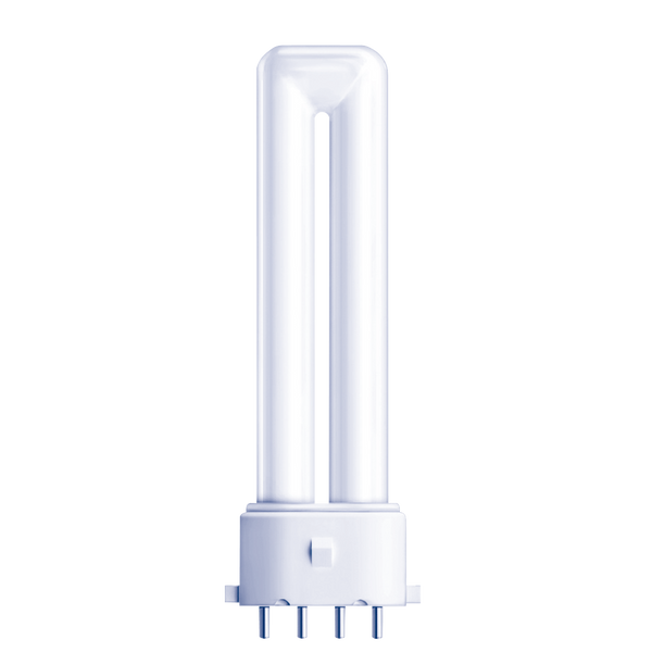 PATRON Dulux S/E PL-S 5W 3000K 2G7 4-pin
