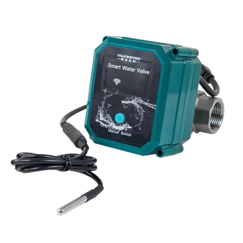 FrankEver Smart water valve DN25 1" - Powered By Shelly