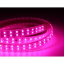 5 meter vandtæt LED strip med 180 LED, 10W pr. meter - IP67, 230V