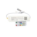 RGBIC WiFi kontroller med fjernbetjening - Til IP67 RGBIC 24V LED strips.