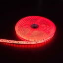 Rød 10W/m LED strip - 5m, 120 LED pr. meter, 24V, IP65 - Vandtæt og energieffektiv LED belysning til indendørs og udendørs brug.