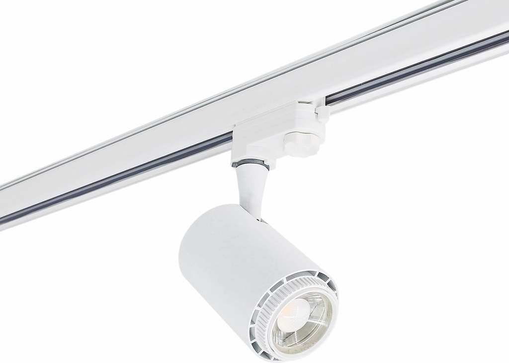 REX II 12W 20-60° DIM. 230V