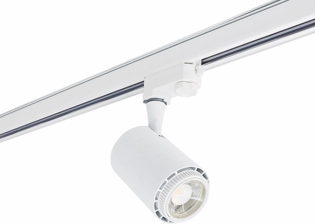 REX II CCT 12W 3000/4000/6000K
