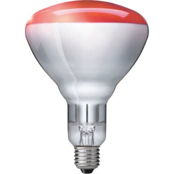 Varmelampe Infrarød 250RH R125 E27 250V