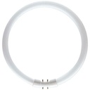 Cirkulært lysstofrør 40W 840 3300Lm - Ø30,5 cm