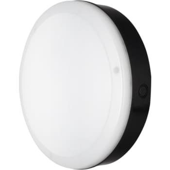 LEDV Surface Bulkhead Outdoor 800lm 250mm 10W/840 IK10 so IP65