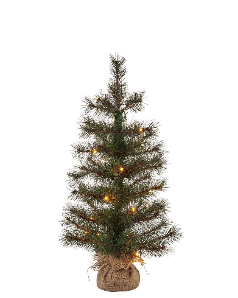 Sirius Alvin Træ, H60cm, 20L, Grøn