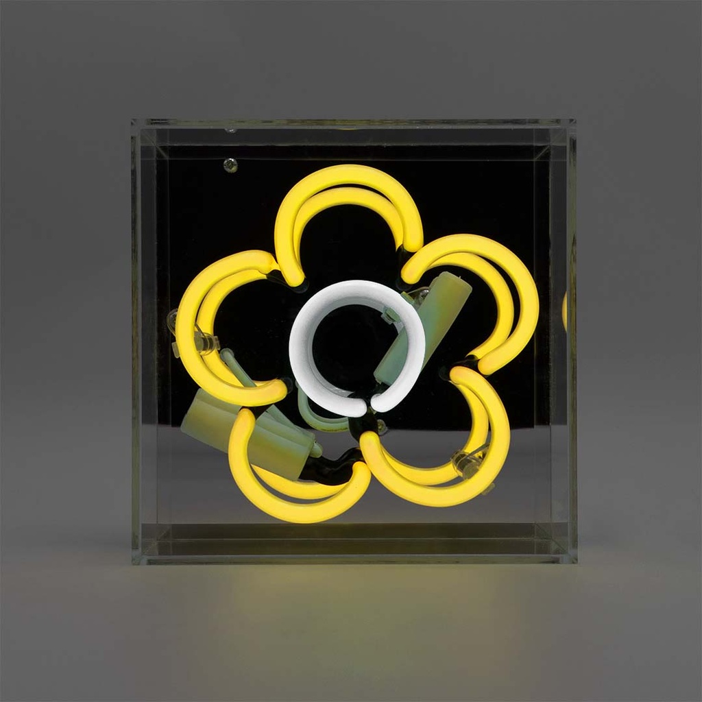 Locomocean mini acrylic box neon - Daisy - Gul