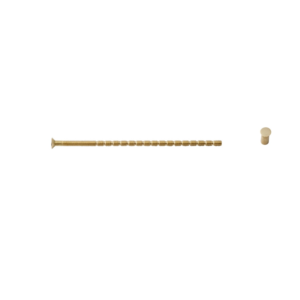 Bøsningsskrue med bøsning, 4 x 110 mm, poleret messing
