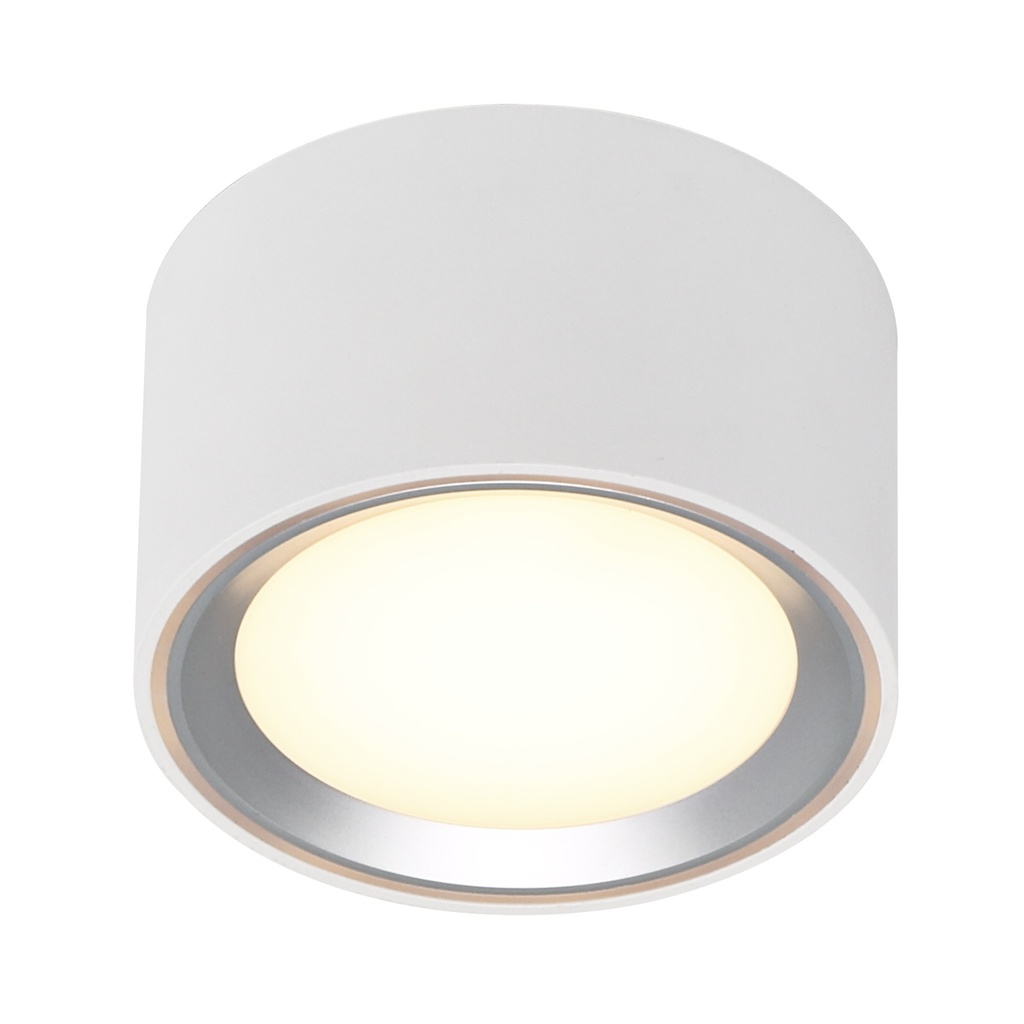 Påbygningsspot Fallon, LED 8,5W 500 lumen, hvid/børstet stål