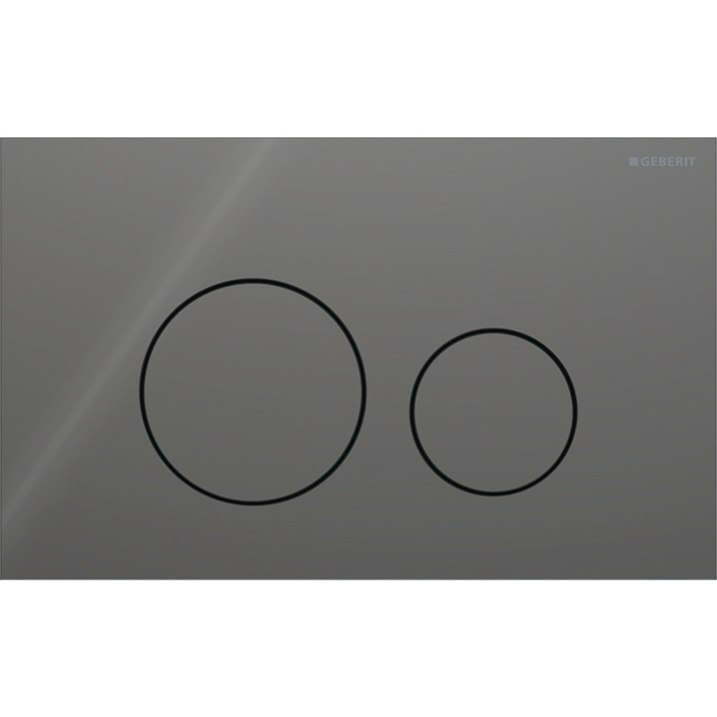 Geberit betjeningsplade 246x152x4mm
