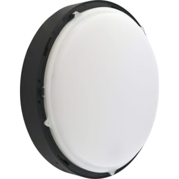 Palma med sensor udendørs 3000K/4000K mat sort