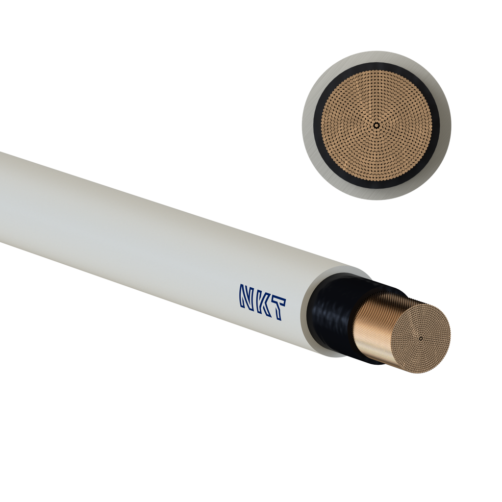 1X95 NOIKX FLEX 90 1 KV. LGREY