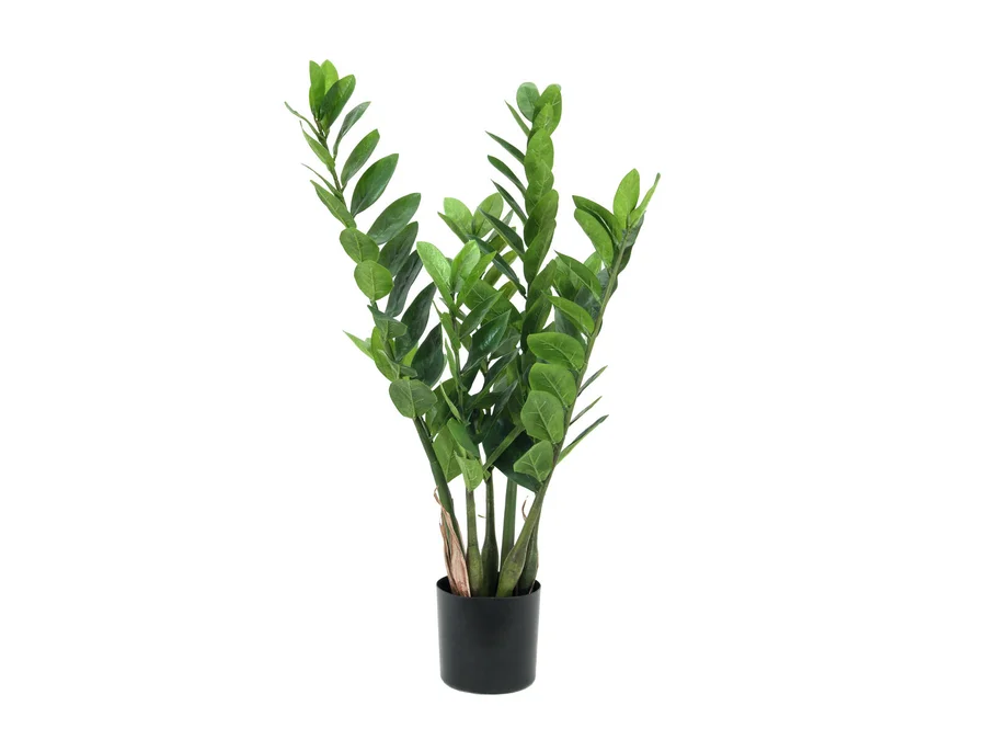 Zamifolia, kunstig, 70 cm