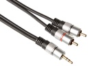 Audiokabel - 3,5mm st. JACK han > 2 x RCA(Phono) han (10m)