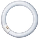 Lysstofrør T9 22W 840 G10Q Lumilux cirkulært (A)