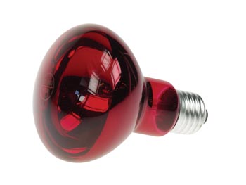 R80 spotpære - 60W / 230V, E27, RØD