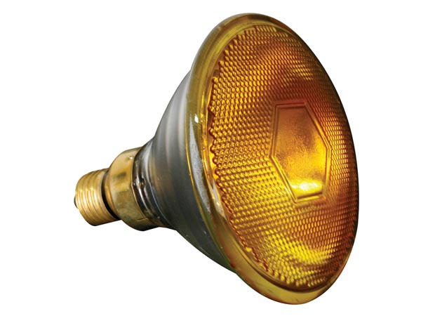 PAR38 pære - 230V / 80W, E27 sokkel, GUL (2000h)