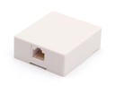 Modularudtag - RJ45(8P8C) hun, til vægmontering, Hvid