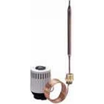 RAVI 43-65° termostat element