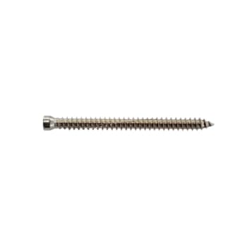 Expandet karmskrue u/hoved 7,5 x 132mm A2, TX30, 100stk.