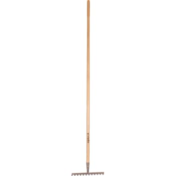 Galax rive, 12-tands/30,5 cm