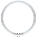 Lysrør TL5 circular 22W/830 Primær ø16x220mm